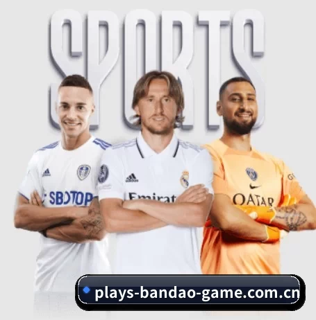 平台简介 - 体育资讯内容服务 | BANDAOSPORTS