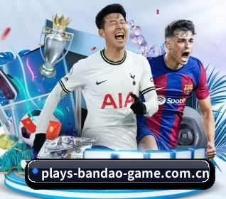 平台简介 - 体育资讯内容服务 | BANDAOSPORTS